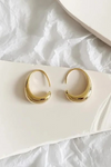 Elegant Earrings