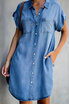 SIerra | Classic Tummy Covering Dress