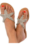 Sunny | Coastal Sea Star Slides