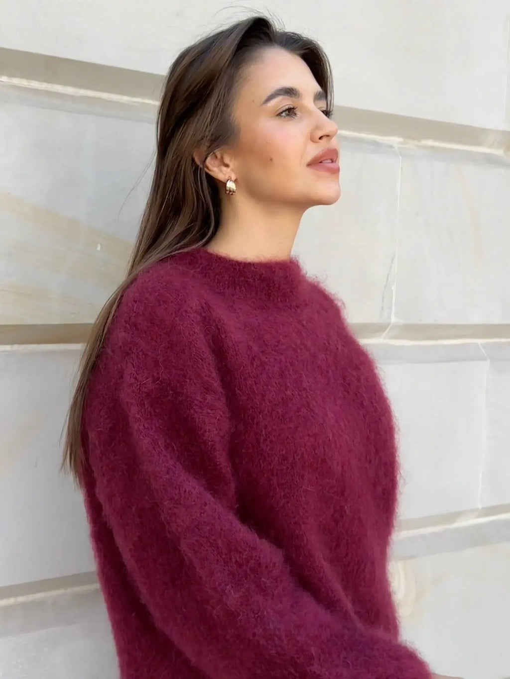 Women's Cozy Elegant Mohair Sweater
